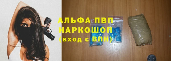 дживик Белокуриха