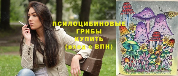 дживик Белокуриха