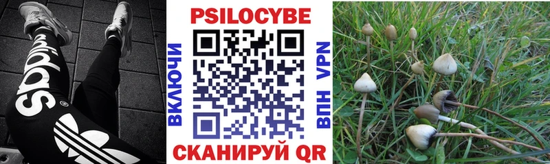 Псилоцибиновые грибы прущие грибы  продажа наркотиков  Белоярский 
